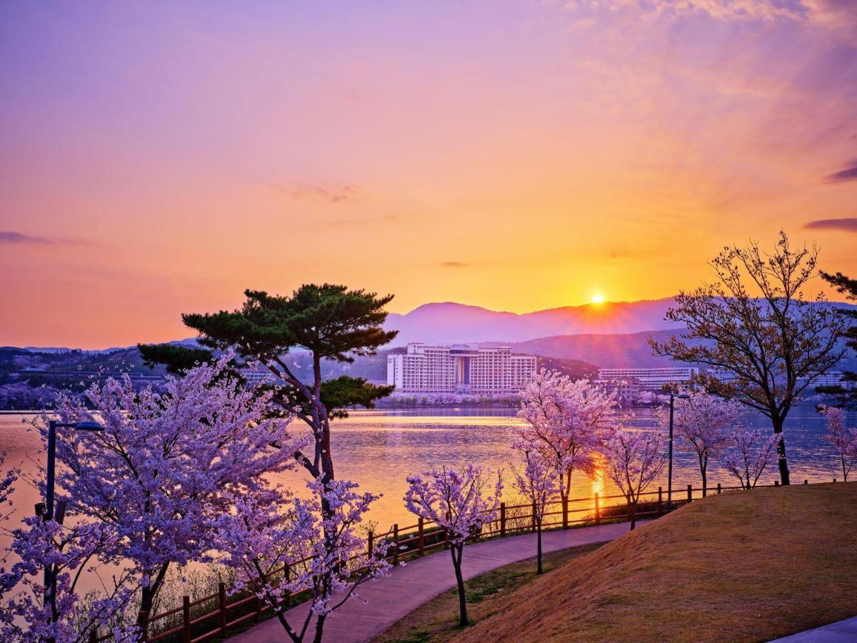 โซโน เบลล์ คย็องจู  Hotel คยองจู ภายนอก รูปภาพ