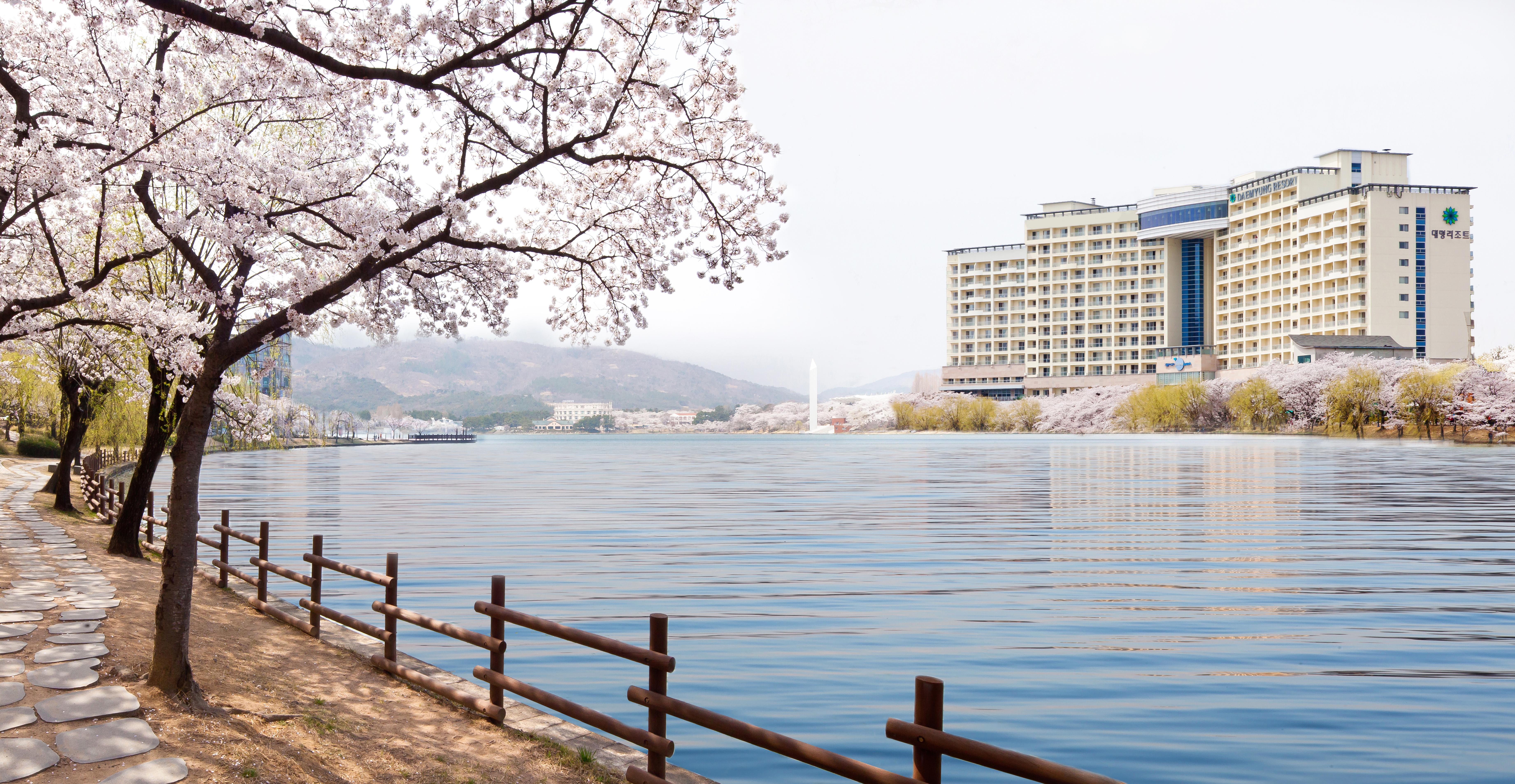 โซโน เบลล์ คย็องจู  Hotel คยองจู ภายนอก รูปภาพ