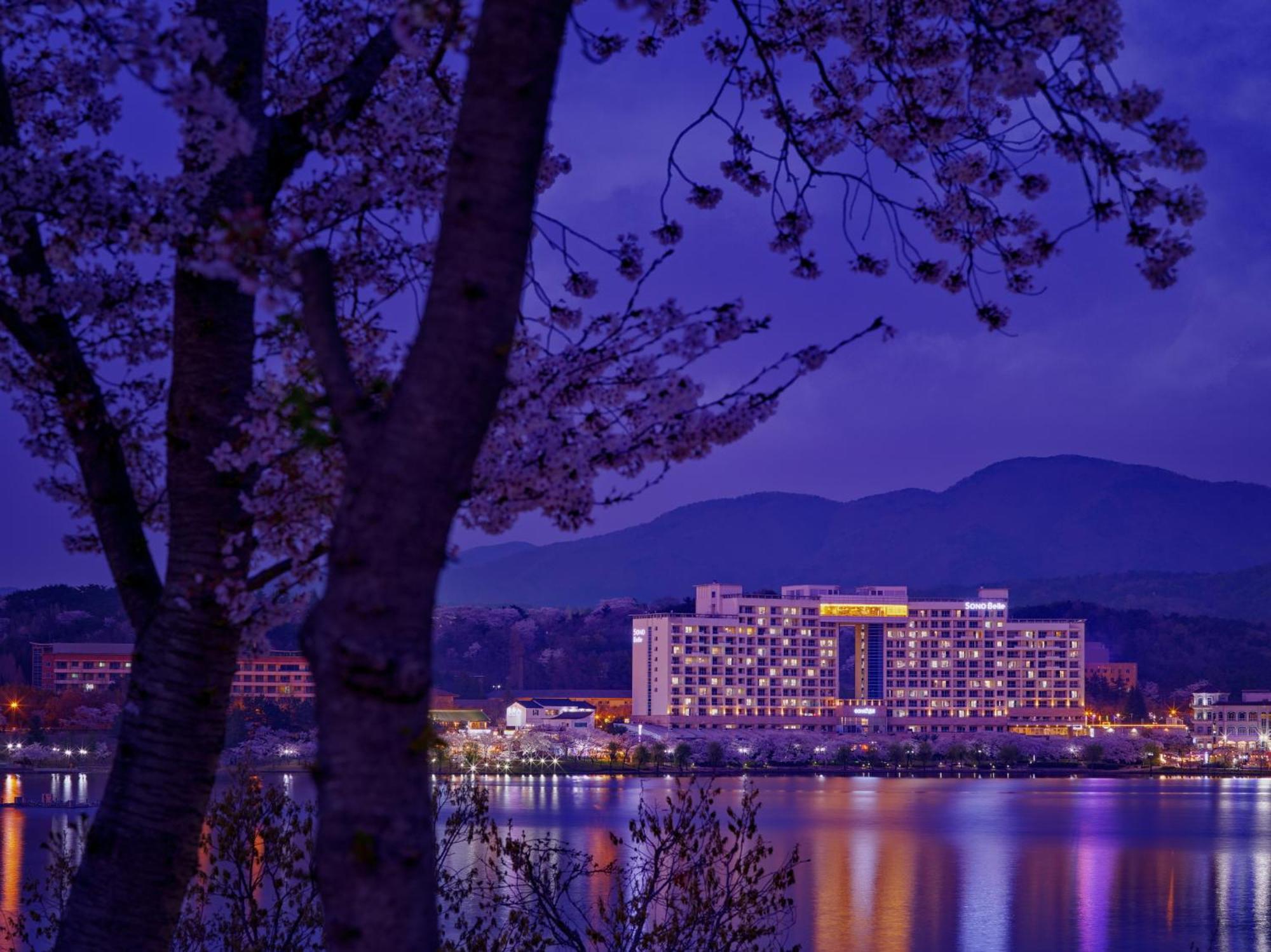 โซโน เบลล์ คย็องจู  Hotel คยองจู ภายนอก รูปภาพ